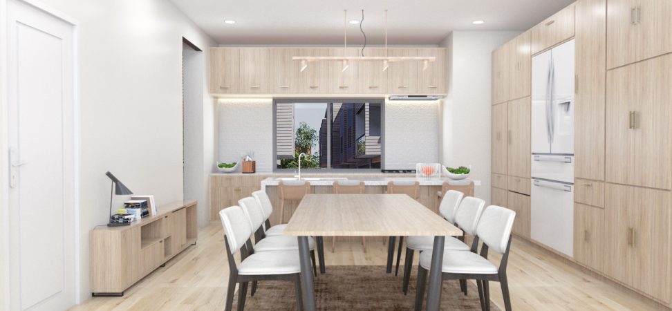 Kitchen with living